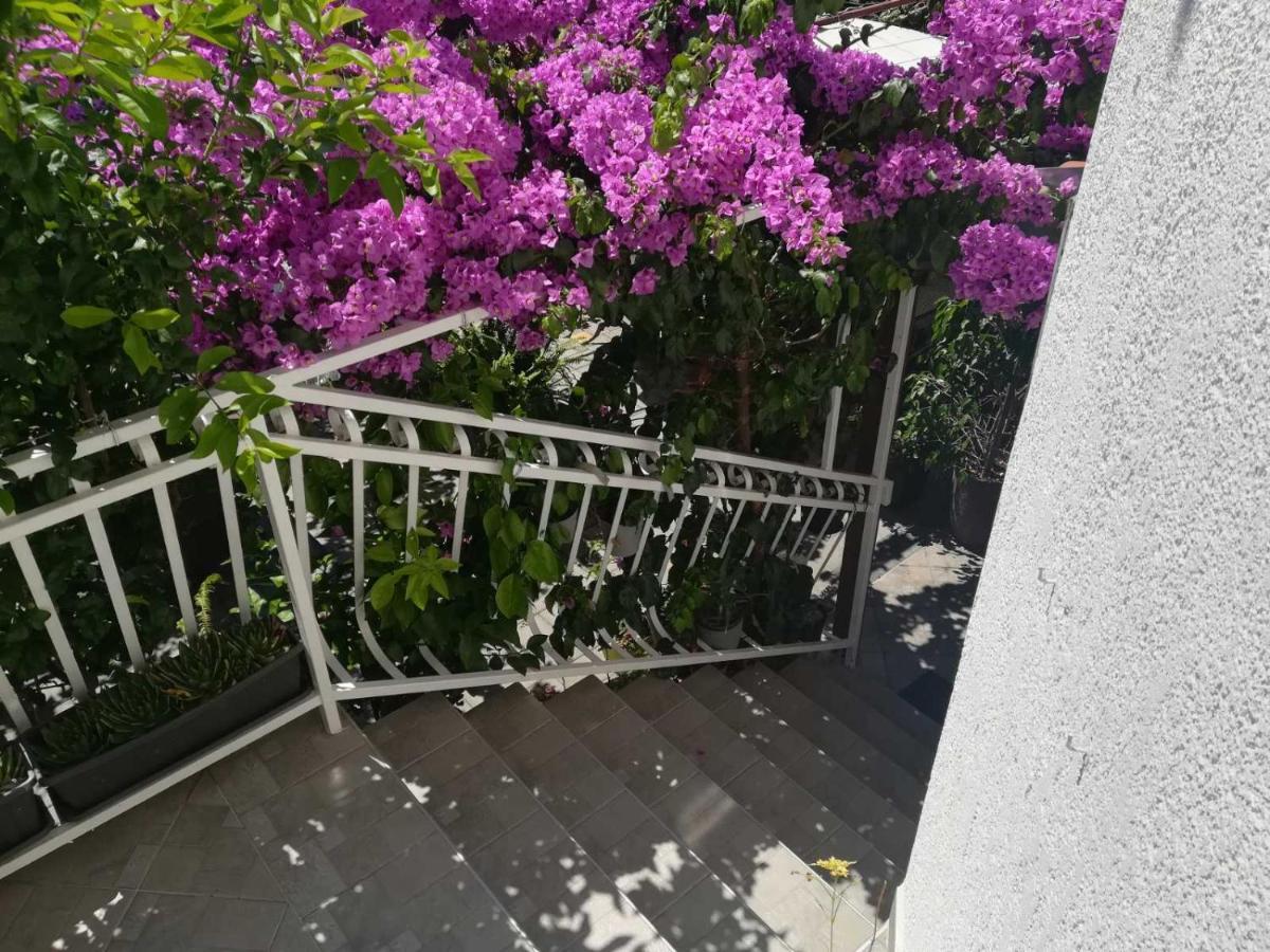 Dalmati House Hotell Brodarica  Eksteriør bilde